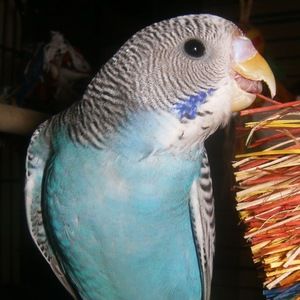 Meet your Posher, Cathy